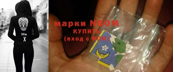 хмурый Ступино