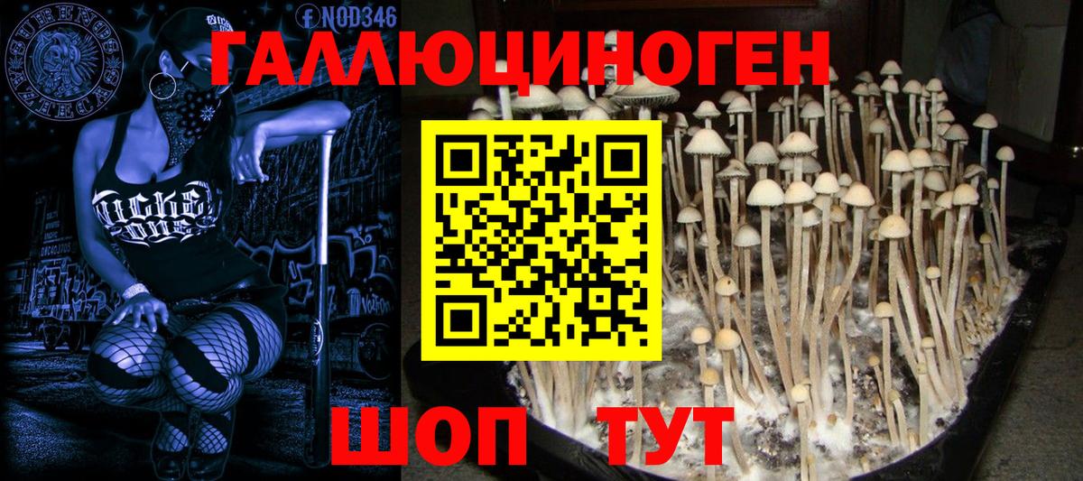 Псилоцибиновые грибы ЛСД Салават